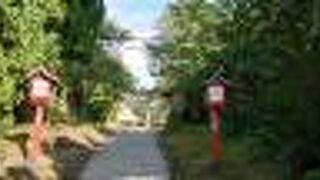 フェリーターミナルの近く