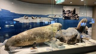 見ごたえがありました