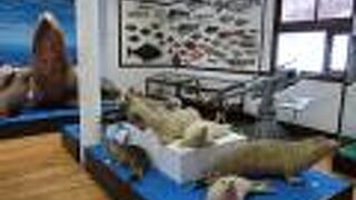 網走市立郷土博物館