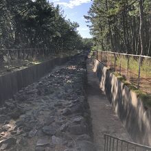 やっぱり本物は凄いです