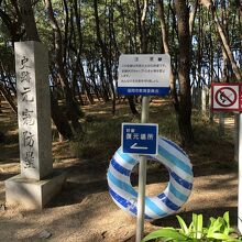 松林の中に今は石塁が埋もれています