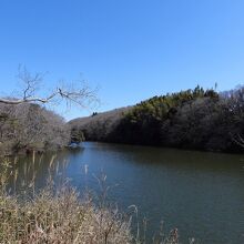 茨城県水郷県民の森の大膳池の風景