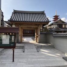 山門と絶妙なマッチ、隣のお寺の塔だけど～