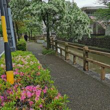 水門川遊歩道 四季の路