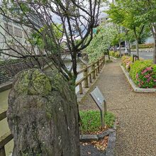 水門川遊歩道 四季の路