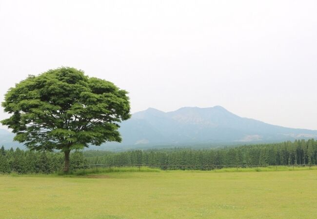 月廻り公園