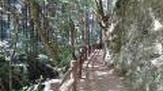 厳粛な雰囲気の素晴らしい払沢の滝