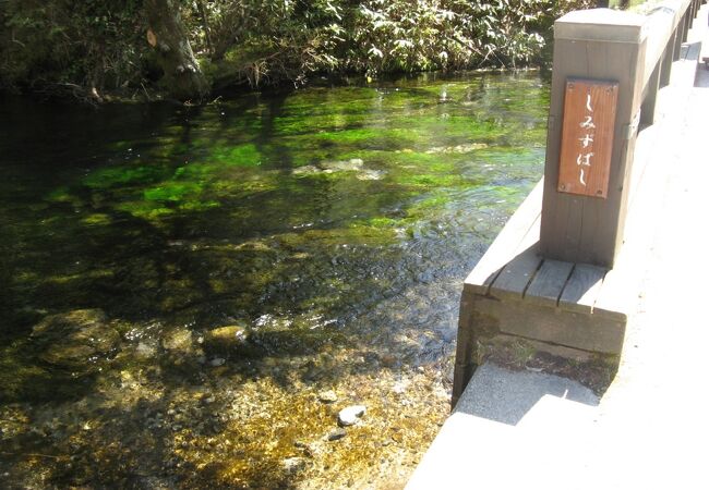 橋の下の流れる清水川が美しい