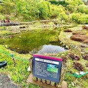 すごく素敵なんだけどアヤメ池の卵がインパクト大でした