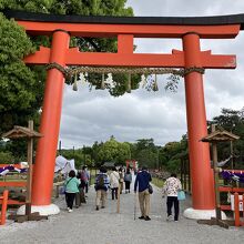 大鳥居