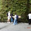 参拝したときは外国の方も多く、来日時に調べて来るんでしょうか。