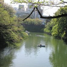 千鳥ヶ淵