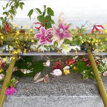 美しい花手水。