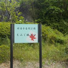 修善寺自然公園もみじ林入口です。