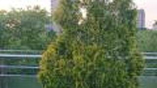 休日夕方JR岐阜駅から名鉄岐阜駅への移動時に利用 