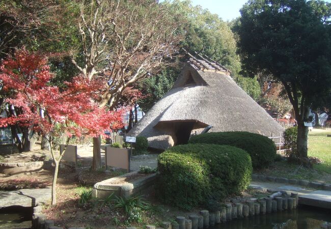 尼崎市の田能にある弥生時代の大集落跡です。