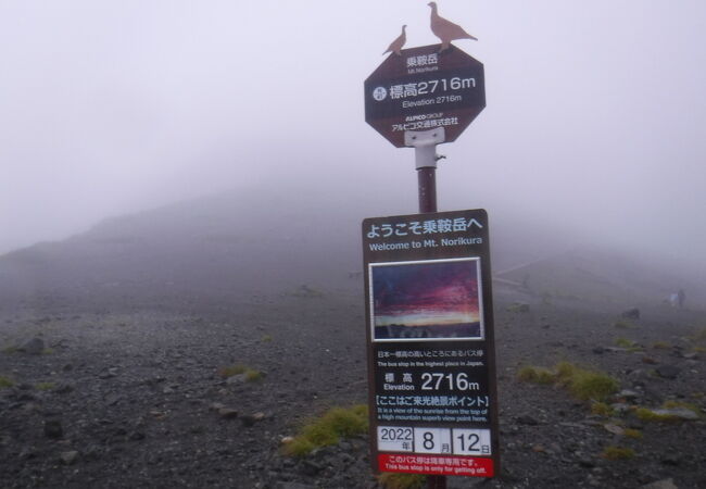 適度なハイキング