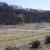 公園隣接