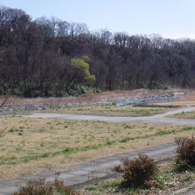 隣接の公園