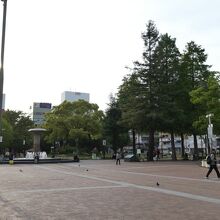 中央公園