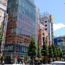 平日の午前でも賑わい、歩道が混み合う場所もちらほら