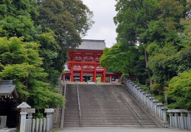 ちはやふるの聖地
