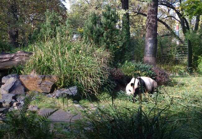 ベルリン動物園