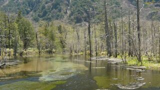 神秘的な風景は素晴らしい