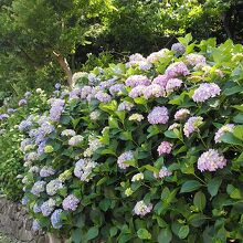 線路沿いの飛鳥の小径