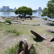 海をのぞくと魚も。