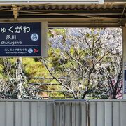 阪神エリアでピカイチの桜の名所