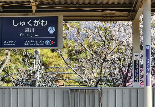 阪神エリアでピカイチの桜の名所