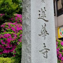 蓮華寺 (文京区)