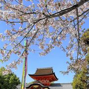 桜に彩られる境内