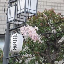 桜のオブジェ