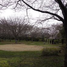 鹿嶋城山公園の風景