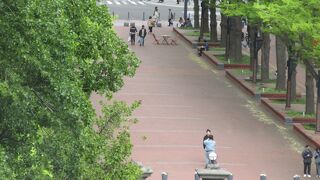 北海道庁旧庁舎の東、きれいな広場です。