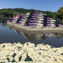 池の上の花のオブジェ