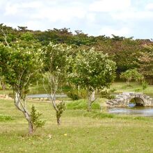 平和創造の森公園