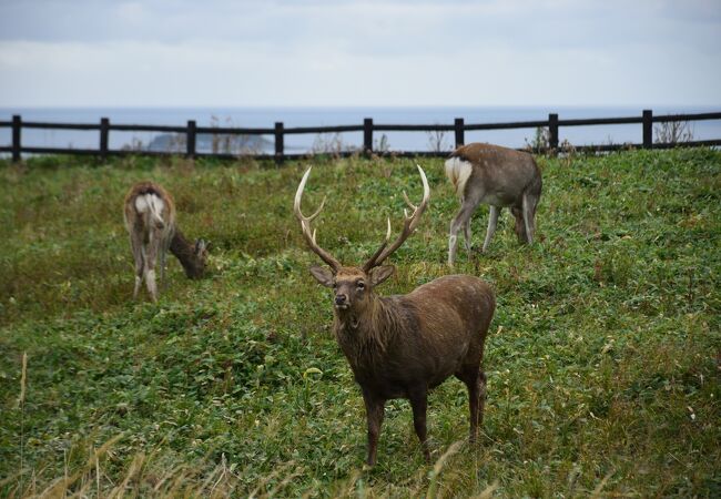 厚岸町にある自然豊かな公園