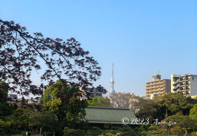 都会のオアシス的な庭園