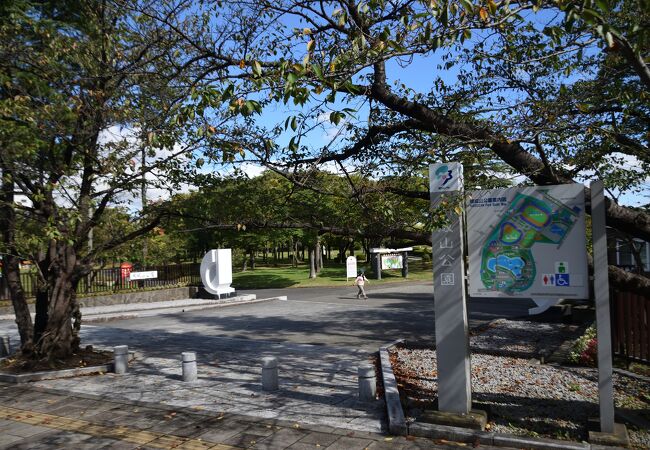 郡山市内の公園