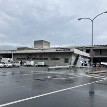 福岡市中央卸売市場鮮魚市場