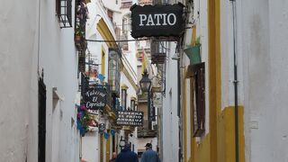 白くて狭くて美しい迷路