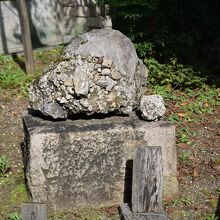 乃木神社 さざれ石