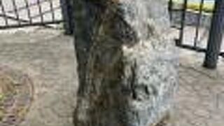 犀川の河岸に！