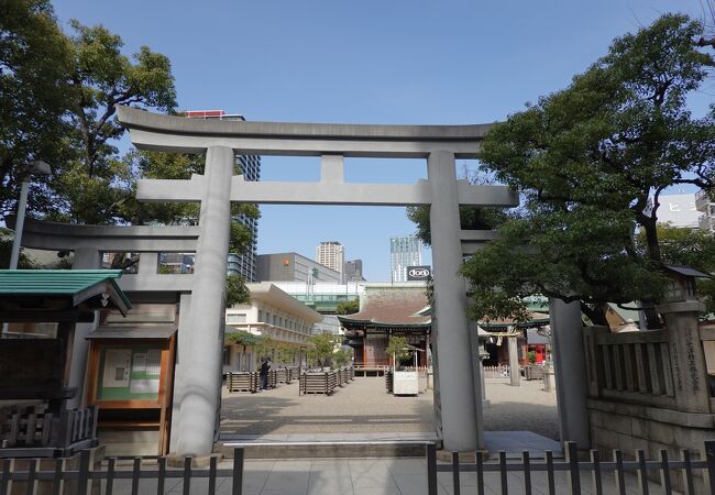 平日昼間は意外と地味でした