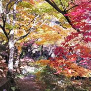 高崎の紅葉の名所