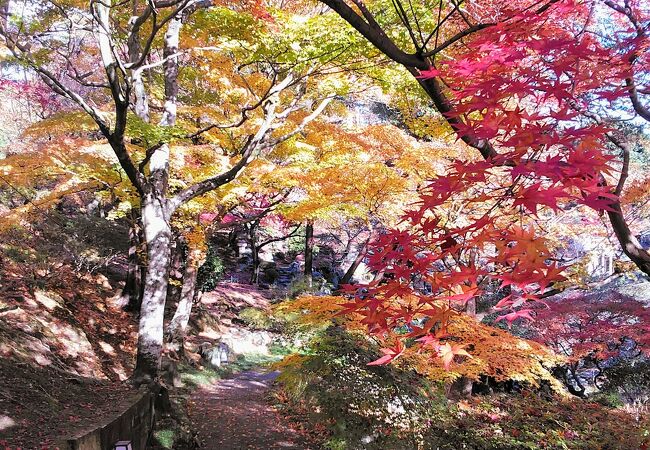 高崎の紅葉の名所