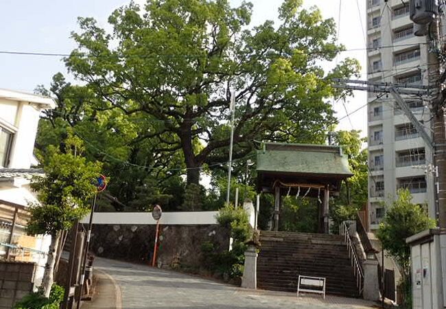 諏訪神社そば